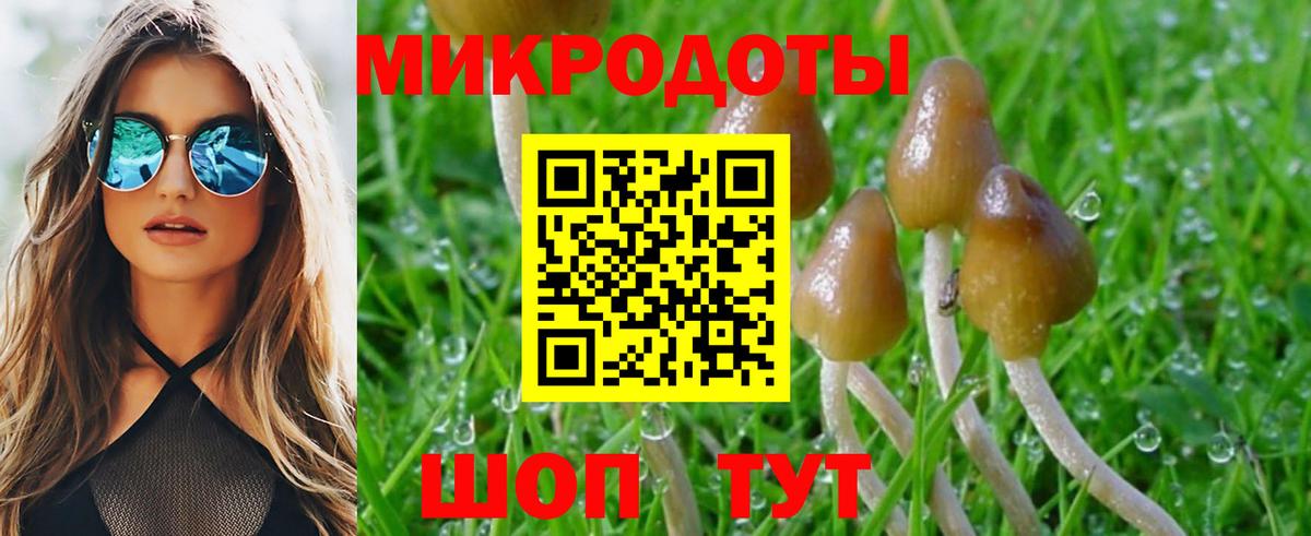 закладки  Псилоцибиновые грибы Psilocybine cubensis  Котлас  Вход с VPN  Псилоцибиновые грибы Cubensis 