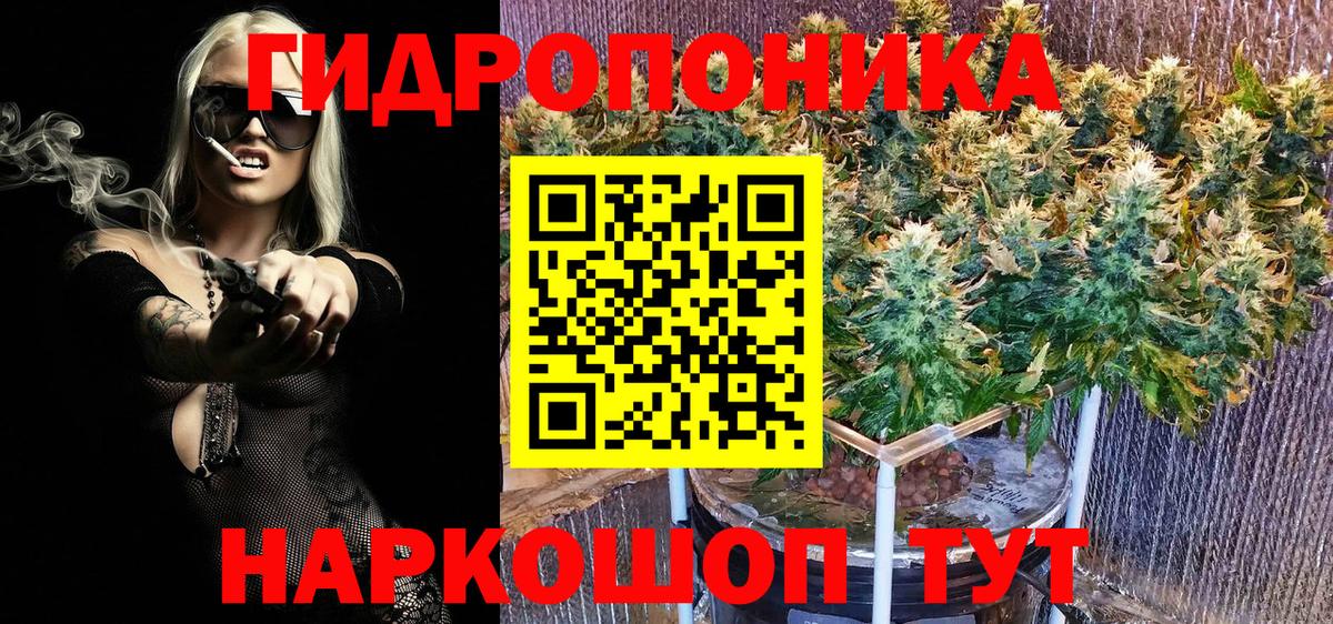 МАРИХУАНА семена Котлас